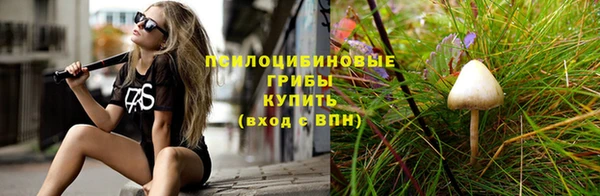 гидра Волосово